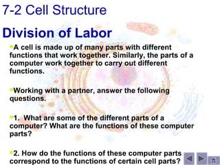 7-2 Cell Structure
Division of Labor
 A cell is made up of many parts with different
 functions that work together. Similarly, the parts of a
 computer work together to carry out different
 functions.

 Working with a partner, answer the following
 questions.

 1. What are some of the different parts of a
 computer? What are the functions of these computer
 parts?

 2.How do the functions of these computer parts
 correspond to the functions of certain cell parts?
 