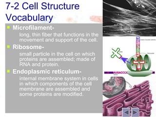 7-2 Cell Structure
Vocabulary
   Microfilament-
       long, thin fiber that functions in the
        movement and support of the cell.
   Ribosome-
       small particle in the cell on which
        proteins are assembled; made of
        RNA and protein.
   Endoplasmic reticulum-
       internal membrane system in cells
        in which components of the cell
        membrane are assembled and
        some proteins are modified.
 
