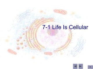 7-1 Life Is Cellular
 
