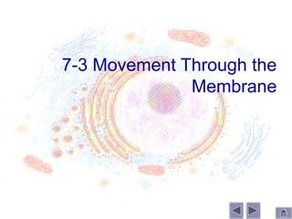 7-3 Movement Through the
              Membrane
 
