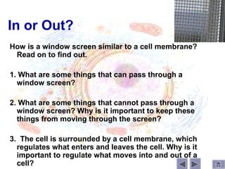 In or Out?
How is a window screen similar to a cell membrane?
 Read on to find out.

1. What are some things that can pass through a
  window screen?

2. What are some things that cannot pass through a
  window screen? Why is it important to keep these
  things from moving through the screen?

3. The cell is surrounded by a cell membrane, which
  regulates what enters and leaves the cell. Why is it
  important to regulate what moves into and out of a
  cell?
 