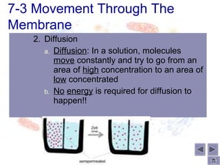 7-3 Movement Through The
Membrane
   2. Diffusion
      a. Diffusion: In a solution, molecules
         move constantly and try to go from an
         area of high concentration to an area of
         low concentrated
      b. No energy is required for diffusion to
         happen!!
 