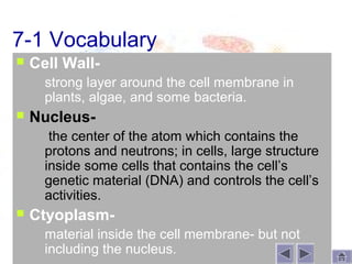 7-1 Vocabulary
   Cell Wall-
       strong layer around the cell membrane in
        plants, algae, and some bacteria.
   Nucleus-
        the center of the atom which contains the
        protons and neutrons; in cells, large structure
        inside some cells that contains the cell’s
        genetic material (DNA) and controls the cell’s
        activities.
   Ctyoplasm-
       material inside the cell membrane- but not
        including the nucleus.
 
