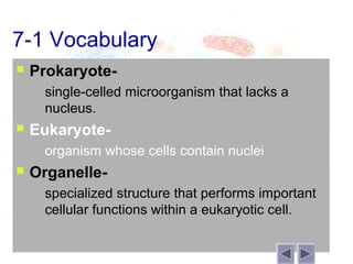 7-1 Vocabulary
   Prokaryote-
       single-celled microorganism that lacks a
        nucleus.
   Eukaryote-
       organism whose cells contain nuclei
   Organelle-
       specialized structure that performs important
        cellular functions within a eukaryotic cell.
 
