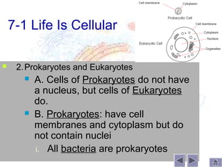 7-1 Life Is Cellular

    2. Prokaryotes and Eukaryotes
          A. Cells of Prokaryotes do not have
           a nucleus, but cells of Eukaryotes
           do.
          B. Prokaryotes: have cell
           membranes and cytoplasm but do
           not contain nuclei
           i. All bacteria are prokaryotes
 
