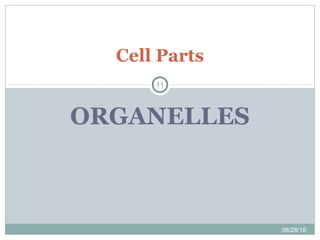 ORGANELLES
Cell Parts
08/28/18
11
 