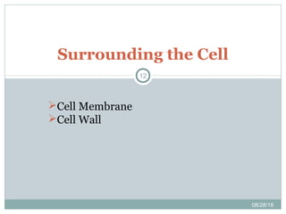 Surrounding the Cell
08/28/18
12
Cell Membrane
Cell Wall
 