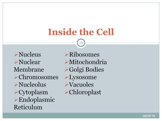 Inside the Cell
08/28/18
15
 