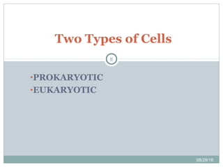 •PROKARYOTIC
•EUKARYOTIC
Two Types of Cells
08/28/18
6
 