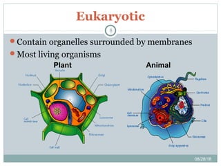 Eukaryotic
08/28/18
8
Contain organelles surrounded by membranes
Most living organisms
Plant Animal
 