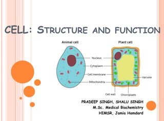 CELL: STRUCTURE AND FUNCTION
PRADEEP SINGH, SHALU SINGH
M.Sc. Medical Biochemistry
HIMSR, Jamia Hamdard
 