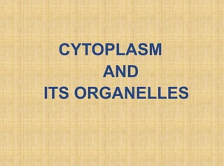 CYTOPLASM
AND
ITS ORGANELLES
 