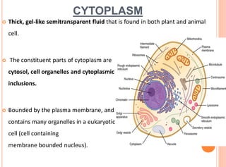 CYTOPLASM
 Thick, gel-like semitransparent fluid that is found in both plant and animal
cell.
 The constituent parts of cytoplasm are
cytosol, cell organelles and cytoplasmic
inclusions.
 Bounded by the plasma membrane, and
contains many organelles in a eukaryotic
cell (cell containing
membrane bounded nucleus).
 