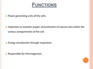 FUNCTIONS
 Power generating units of the cells.
 Important to maintain proper concentration of calcium ions within the
various compartments of the cell.
 Energy transduction through respiration.
 Responsible for thermogenesis.
 