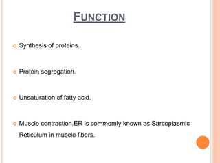 FUNCTION
 Synthesis of proteins.
 Protein segregation.
 Unsaturation of fatty acid.
 Muscle contraction.ER is commomly known as Sarcoplasmic
Reticulum in muscle fibers.
 