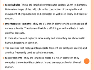  Microtubules- These are long hollow structures approx. 25nm in diameter.
Determine shape of the cell, role in the contraction of the spindle and
movement of chromosomes and centrioles as well as in ciliary and flagellar
motion.
 Intermediate Filaments- They are 8-14nm in diameter and are made up of
various subunits. They form a flexible scaffolding or cell and help it resist
external pressure.
In their absence cell ruptures more easily and when they are abnormal in
human, blistering in common.
 The proteins that makeup intermediate filament are cell types specific and
are thus frequently used as cellular markers.
 Microfilaments- They are long solid fibers 4-6 nm in diameter. They
comprise the contractile protein actin and are responsible for the cell
motion.
 
