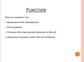 FUNCTION
They are involved in the:-
 Movement of the chromosomes
 Cell movement
 Processes that move secretion granules in the cell
 Movement of proteins within the cell membrane.
 