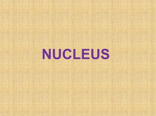 NUCLEUS
 