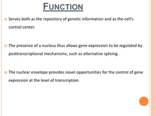 FUNCTION
 Serves both as the repository of genetic information and as the cell's
control center.
 The presence of a nucleus thus allows gene expression to be regulated by
posttranscriptional mechanisms, such as alternative splicing.
 The nuclear envelope provides novel opportunities for the control of gene
expression at the level of transcription.
 