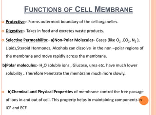 FUNCTIONS OF CELL MEMBRANE
 Protective:- Forms outermost boundary of the cell organelles.
 Digestive:- Takes in food and excretes waste products.
 Selective Permeability:- a)Non-Polar Molecules- Gases (like O2 ,CO2, N2 ),
Lipids,Steroid Hormones, Alcohols can dissolve in the non –polar regions of
the membrane and move rapidly across the membrane.
b)Polar molecules:- H2O soluble ions , Glucose, urea etc. have much lower
solubility . Therefore Penetrate the membrane much more slowly.
 b)Chemical and Physical Properties of membrane control the free passage
of ions in and out of cell. This property helps in maintaining components in
ICF and ECF.
 