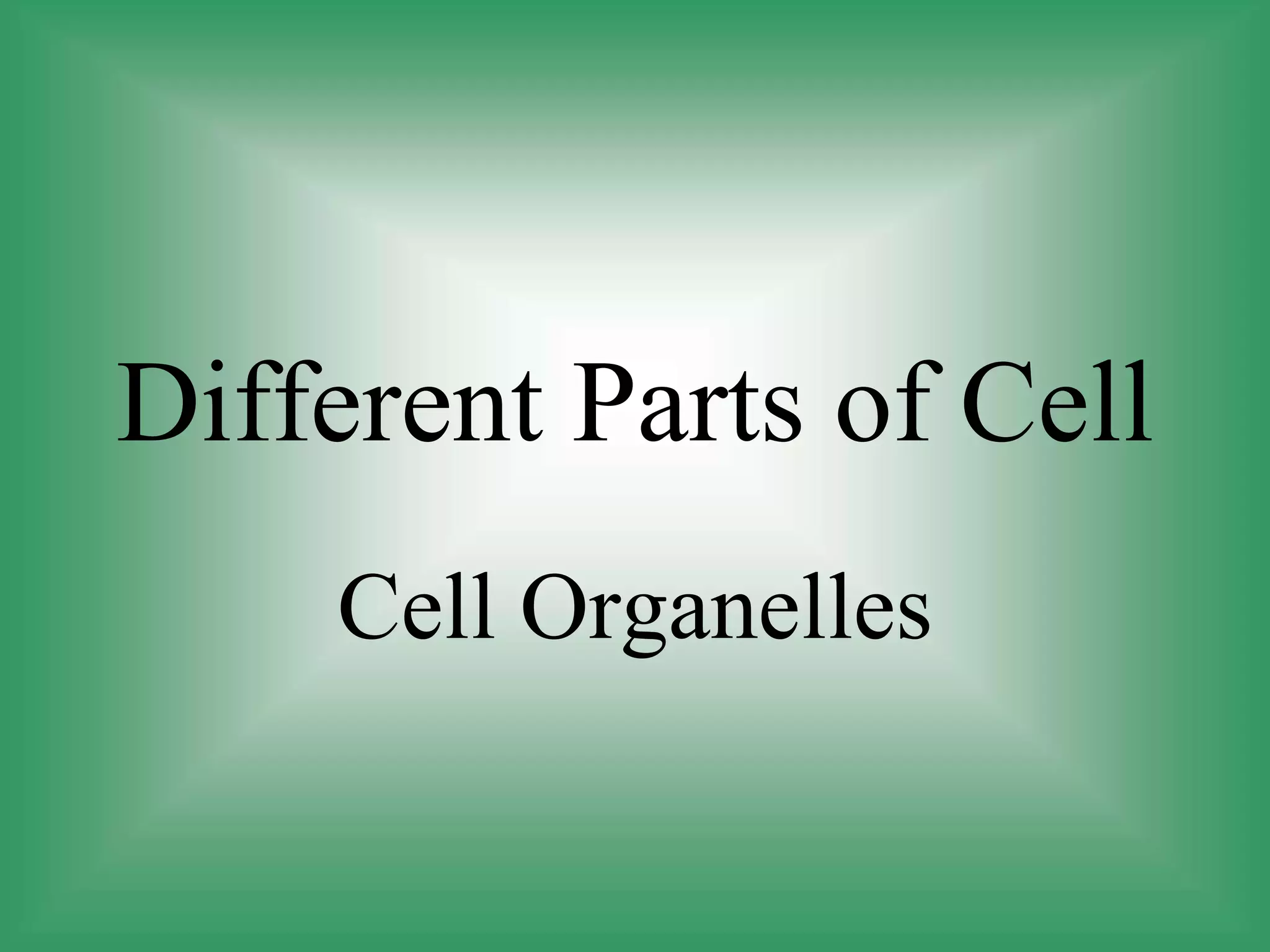 Different Parts of Cell
Cell Organelles
 