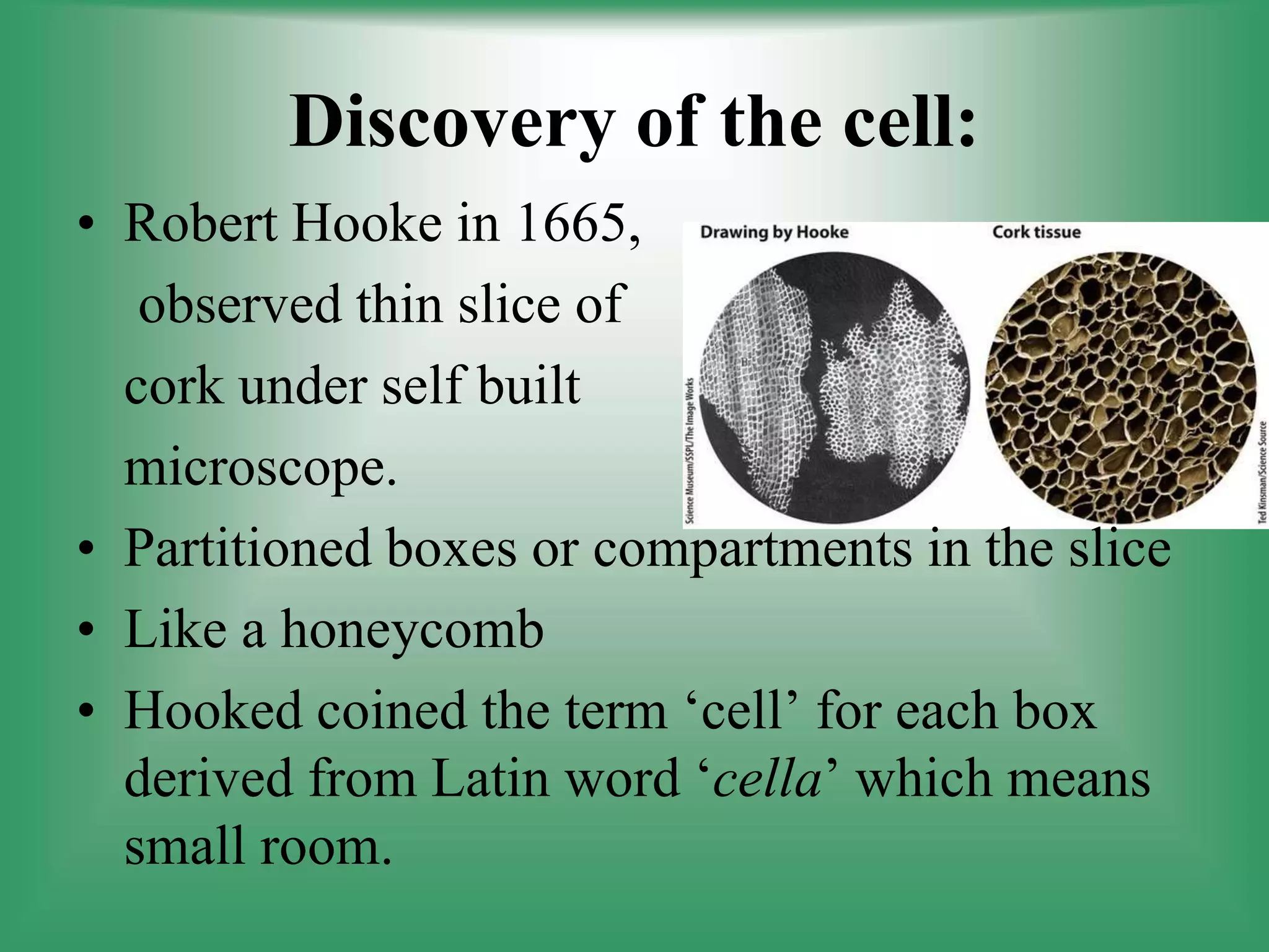 Discovery of the cell:
• Robert Hooke in 1665,
observed thin slice of
cork under self built
microscope.
• Partitioned boxes or compartments in the slice
• Like a honeycomb
• Hooked coined the term ‘cell’ for each box
derived from Latin word ‘cella’ which means
small room.
 