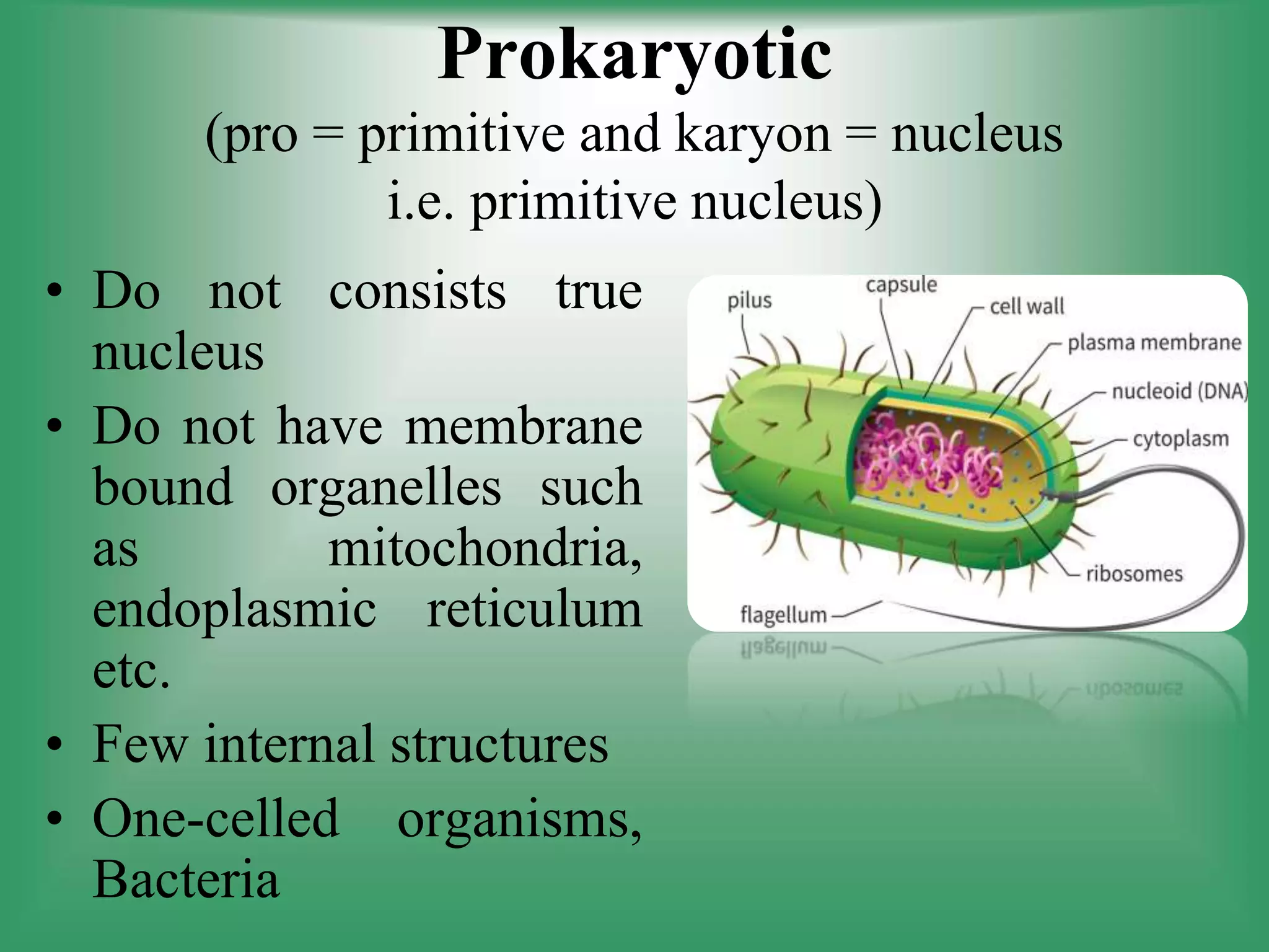 Prokaryotic
(pro = primitive and karyon = nucleus
i.e. primitive nucleus)
• Do not consists true
nucleus
• Do not have membrane
bound organelles such
as mitochondria,
endoplasmic reticulum
etc.
• Few internal structures
• One-celled organisms,
Bacteria
 