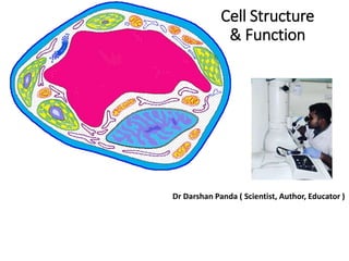Cell Structure
& Function
Dr Darshan Panda ( Scientist, Author, Educator )
 