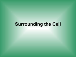 Surrounding the Cell
 