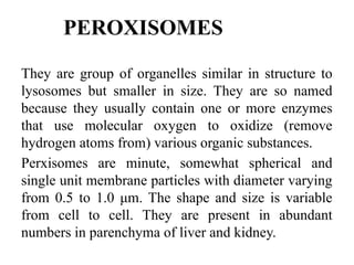Perixomas cellstructurefunctions-240227121448-bddcc97f.pptx