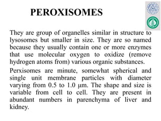 Perixomas Cell :Structure & Functions for Medical and Health allied Students | PPTX
