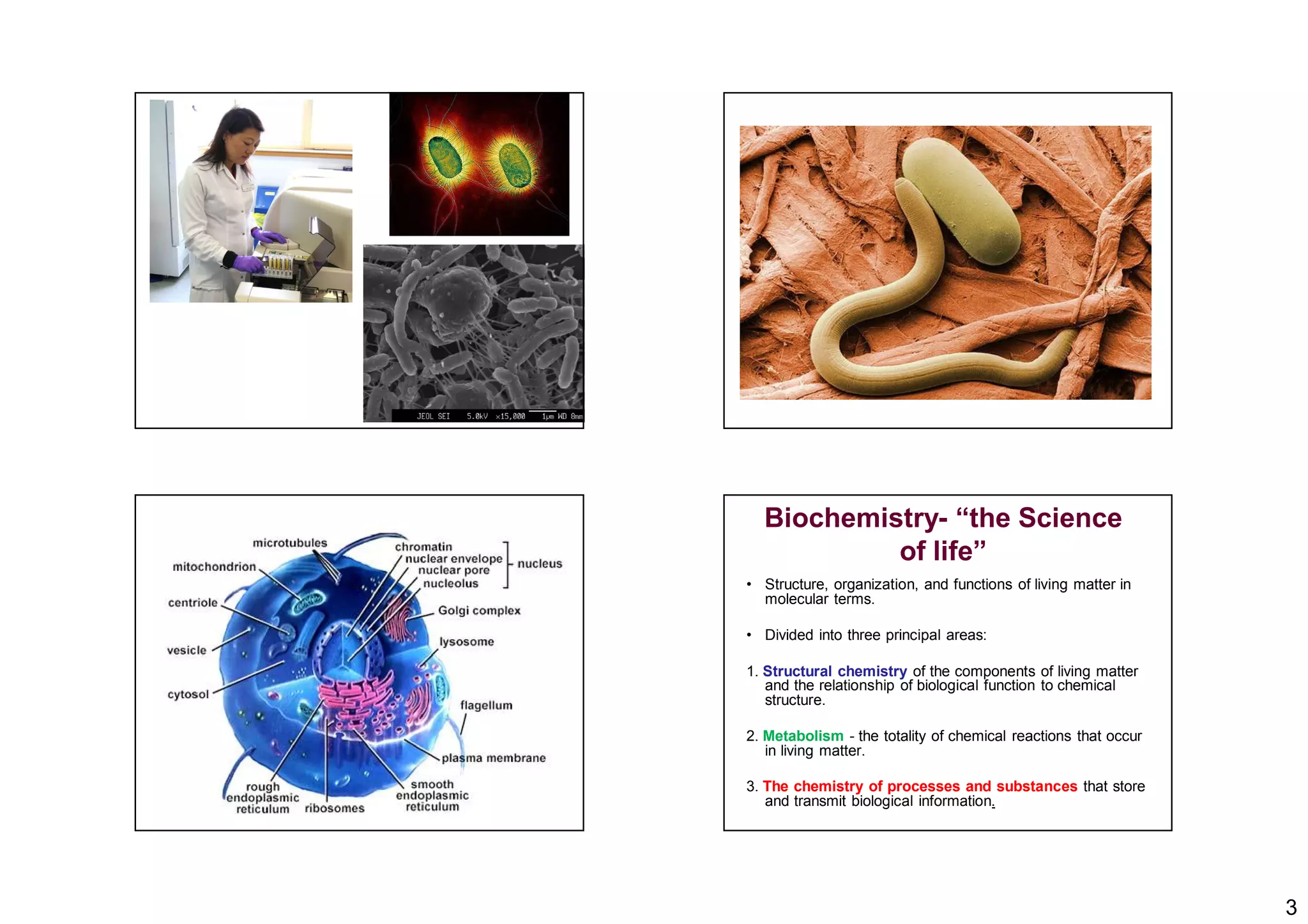 3
• Structure, organization, and functions of living matter in
molecular terms.
• Divided into three principal areas:
1. Structural chemistry of the components of living matter
and the relationship of biological function to chemical
structure.
2. Metabolism - the totality of chemical reactions that occur
in living matter.
3. The chemistry of processes and substances that store
and transmit biological information.
Biochemistry- “the Science
of life”
 
