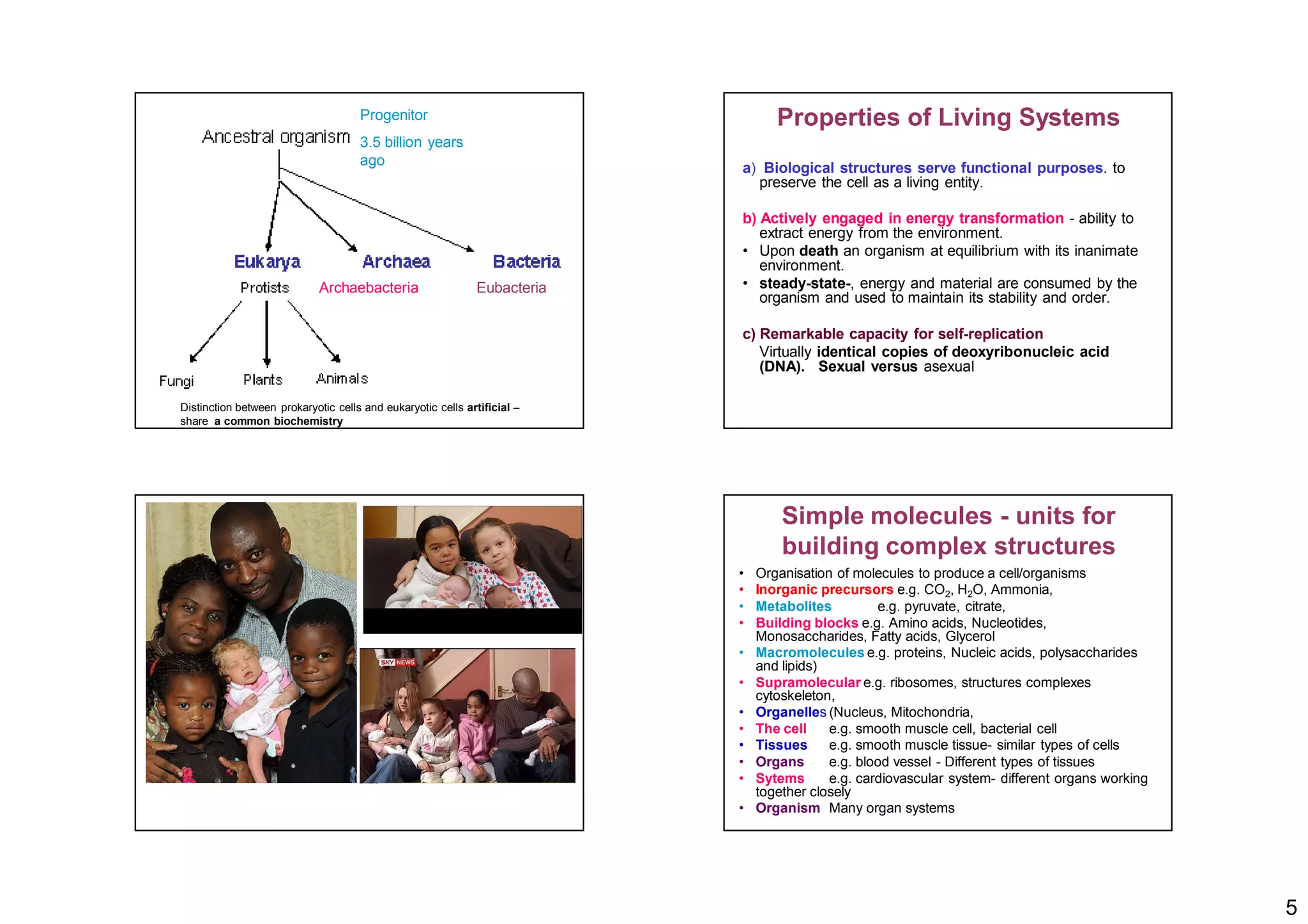 5
Archaebacteria Eubacteria
Progenitor
3.5 billion years
ago
Distinction between prokaryotic cells and eukaryotic cells artificial –
share a common biochemistry
Properties of Living Systems
a) Biological structures serve functional purposes. to
preserve the cell as a living entity.
b) Actively engaged in energy transformation - ability to
extract energy from the environment.
• Upon death an organism at equilibrium with its inanimate
environment.
• steady-state-, energy and material are consumed by the
organism and used to maintain its stability and order.
c) Remarkable capacity for self-replication
Virtually identical copies of deoxyribonucleic acid
(DNA). Sexual versus asexual
Simple molecules - units for
building complex structures
• Organisation of molecules to produce a cell/organisms
• Inorganic precursors e.g. CO2, H2O, Ammonia,
• Metabolites e.g. pyruvate, citrate,
• Building blocks e.g. Amino acids, Nucleotides,
Monosaccharides, Fatty acids, Glycerol
• Macromolecules e.g. proteins, Nucleic acids, polysaccharides
and lipids)
• Supramolecular e.g. ribosomes, structures complexes
cytoskeleton,
• Organelles (Nucleus, Mitochondria,
• The cell e.g. smooth muscle cell, bacterial cell
• Tissues e.g. smooth muscle tissue- similar types of cells
• Organs e.g. blood vessel - Different types of tissues
• Sytems e.g. cardiovascular system- different organs working
together closely
• Organism Many organ systems
 