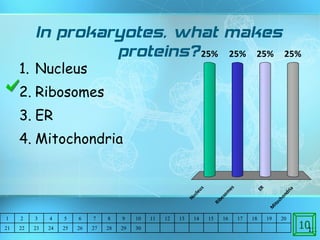In prokaryotes, what makes proteins? Nucleus Ribosomes ER Mitochondria 10 1 2 3 4 5 6 7 8 9 10 11 12 13 14 15 16 17 18 19 20 21 22 23 24 25 26 27 28 29 30 