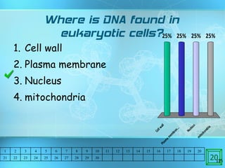 Where is DNA found in eukaryotic cells? Cell wall Plasma membrane Nucleus mitochondria 20 1 2 3 4 5 6 7 8 9 10 11 12 13 14 15 16 17 18 19 20 21 22 23 24 25 26 27 28 29 30 
