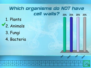 Which organisms do NOT have cell walls? Plants Animals Fungi Bacteria  20 1 2 3 4 5 6 7 8 9 10 11 12 13 14 15 16 17 18 19 20 21 22 23 24 25 26 27 28 29 30 