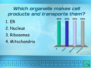 Which organelle makes cell products and transports them? ER Nucleus Ribosomes Mitochondria 20 1 2 3 4 5 6 7 8 9 10 11 12 13 14 15 16 17 18 19 20 21 22 23 24 25 26 27 28 29 30 