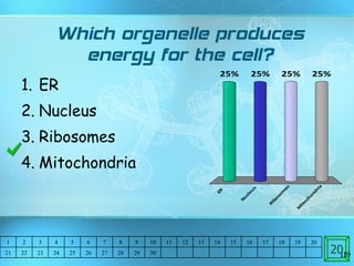 Which organelle produces energy for the cell? ER Nucleus Ribosomes Mitochondria 20 1 2 3 4 5 6 7 8 9 10 11 12 13 14 15 16 17 18 19 20 21 22 23 24 25 26 27 28 29 30 