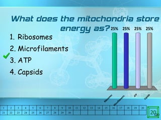 What does the mitochondria store energy as? Ribosomes Microfilaments ATP Capsids 20 1 2 3 4 5 6 7 8 9 10 11 12 13 14 15 16 17 18 19 20 21 22 23 24 25 26 27 28 29 30 