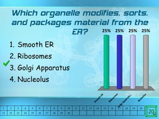 Which organelle modifies, sorts, and packages material from the ER? Smooth ER Ribosomes Golgi Apparatus Nucleolus  20 1 2 3 4 5 6 7 8 9 10 11 12 13 14 15 16 17 18 19 20 21 22 23 24 25 26 27 28 29 30 