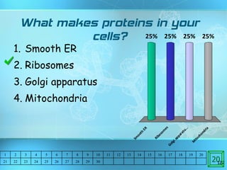 What makes proteins in your cells? Smooth ER Ribosomes Golgi apparatus Mitochondria  20 1 2 3 4 5 6 7 8 9 10 11 12 13 14 15 16 17 18 19 20 21 22 23 24 25 26 27 28 29 30 