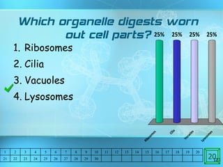 Which organelle digests worn out cell parts? Ribosomes Cilia Vacuoles Lysosomes 20 1 2 3 4 5 6 7 8 9 10 11 12 13 14 15 16 17 18 19 20 21 22 23 24 25 26 27 28 29 30 