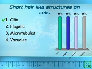 Short hair like structures on cells Cilia Flagella Microtubules Vacuoles  20 1 2 3 4 5 6 7 8 9 10 11 12 13 14 15 16 17 18 19 20 21 22 23 24 25 26 27 28 29 30 