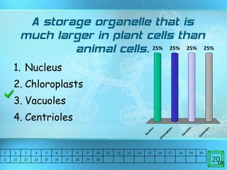 A storage organelle that is much larger in plant cells than animal cells. Nucleus Chloroplasts Vacuoles Centrioles 1 2 3 4 5 6 7 8 9 10 11 12 13 14 15 16 17 18 19 20 21 22 23 24 25 26 27 28 29 30 20 