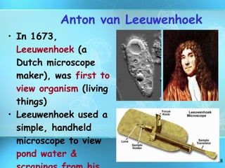 Anton van Leeuwenhoek In 1673,  Leeuwenhoek  (a Dutch microscope maker), was  first to view organism  (living things) Leeuwenhoek used a simple, handheld microscope to view  pond water & scrapings from his teeth 