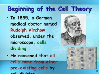 Beginning of the Cell Theory In 1855, a German medical doctor named  Rudolph Virchow  observed, under the microscope,  cells dividing He reasoned that  all cells come from other pre-existing cells  by cell division 