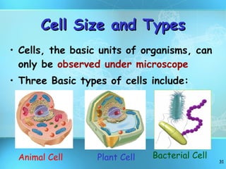 Cell Size and Types Cells, the basic units of organisms, can only be  observed under microscope Three Basic types of cells include: Animal Cell Plant Cell Bacterial Cell 