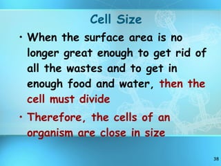 Cell Size When the surface area is no longer great enough to get rid of all the wastes and to get in enough food and water,  then the cell must divide Therefore, the cells of an organism are close in size 