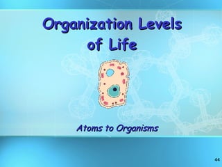 Organization Levels of Life Atoms to Organisms 