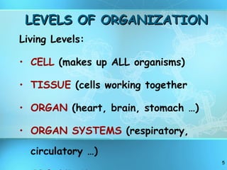 LEVELS OF ORGANIZATION Living Levels: CELL  (makes up ALL organisms) TISSUE  (cells working together ORGAN  (heart, brain, stomach …) ORGAN SYSTEMS  (respiratory, circulatory …) ORGANISM 